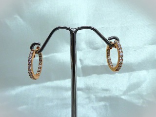 Hooped Diamond earrings