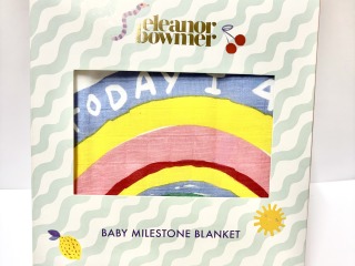 Baby milestone blanket.