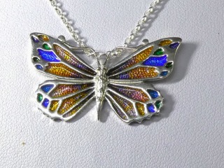 Silver enamel necklace DP29-p