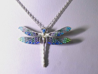 Silver enamel necklace DP53