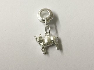 Manx cat charm carrier 