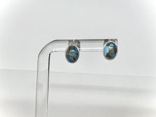 Blue Mohave Stud Earrings