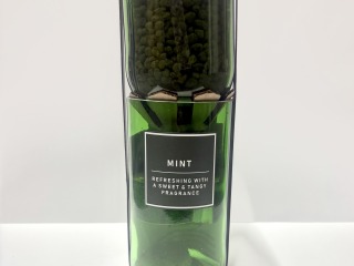 Hydro Herb Kit- Mint