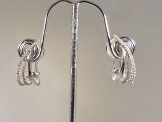 Hooped Diamond Earrings