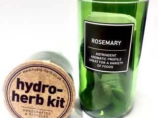 Hydro Herb Kit- Dark Basil.